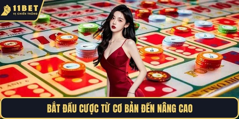 Bắt đầu cược từ cơ bản đến nâng cao