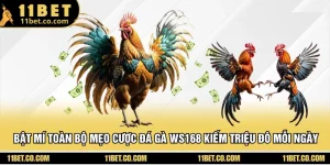 Bật Mí Toàn Bộ Mẹo Cược Đá Gà WS168 Kiếm Triệu Đô Mỗi Ngày