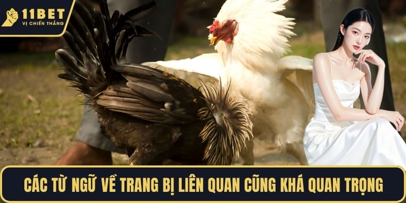 Các từ ngữ về trang bị liên quan cũng khá quan trọng