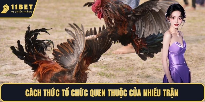 Cách thức tổ chức quen thuộc của nhiều trận