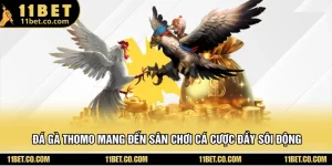 Đá Gà Thomo Mang Đến Sân Chơi Cá Cược Đầy Sôi Động