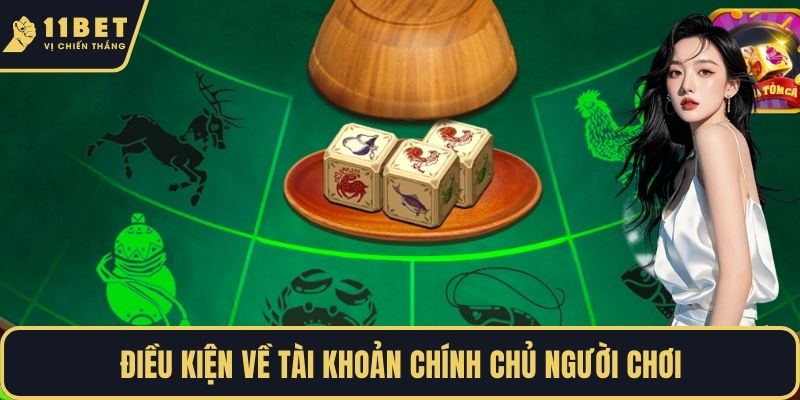 Điều kiện về tài khoản chính chủ người chơi
