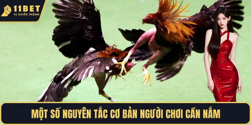 Một số nguyên tắc cơ bản người chơi cần nắm