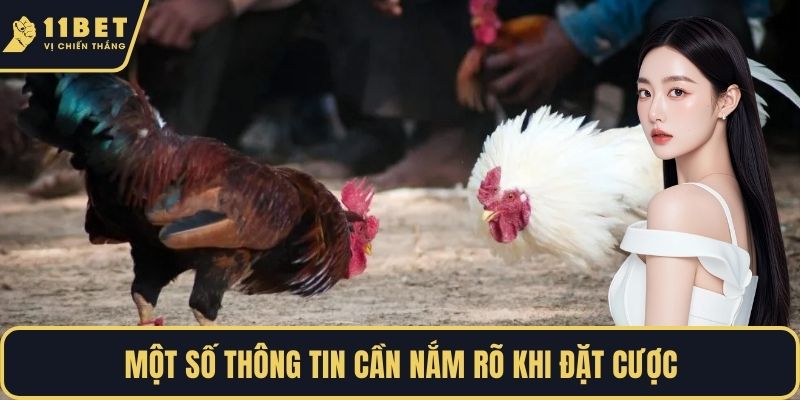 Một số thông tin cần nắm rõ khi đặt cược