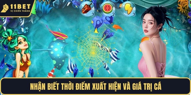 Nhận biết thời điểm xuất hiện và giá trị cá