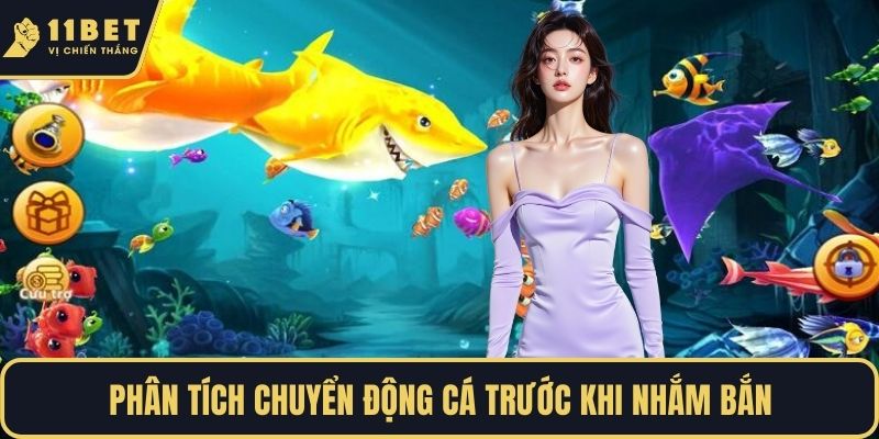 Phân tích chuyển động cá trước khi nhắm bắn