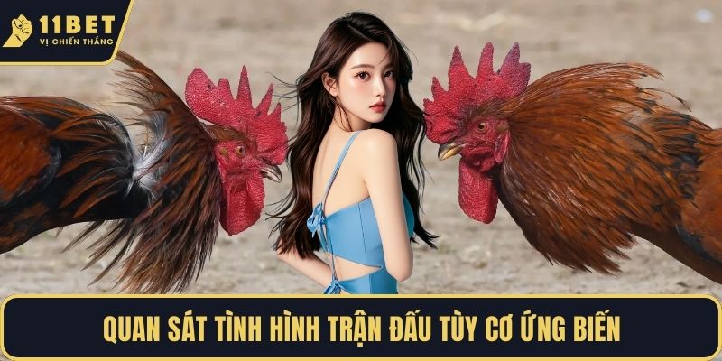 Quan sát tình hình trận đấu tùy cơ ứng biến
