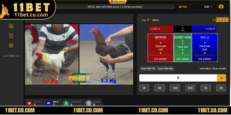 Sử dụng công nghệ phát trực tiếp hiện đại cho các trận đá gà Campuchia